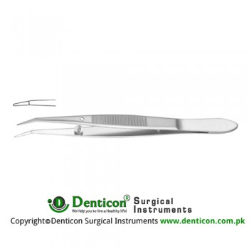 Barraquer Cilia Forcep Smooth Jaw Stainless Steel, 10.5 cm - 4"